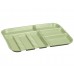 Plasdent DIVIDED TRAY SIZE A (Chayes) - Dimension: 13¾" x 10⅝" x ⅞" - GREEN
